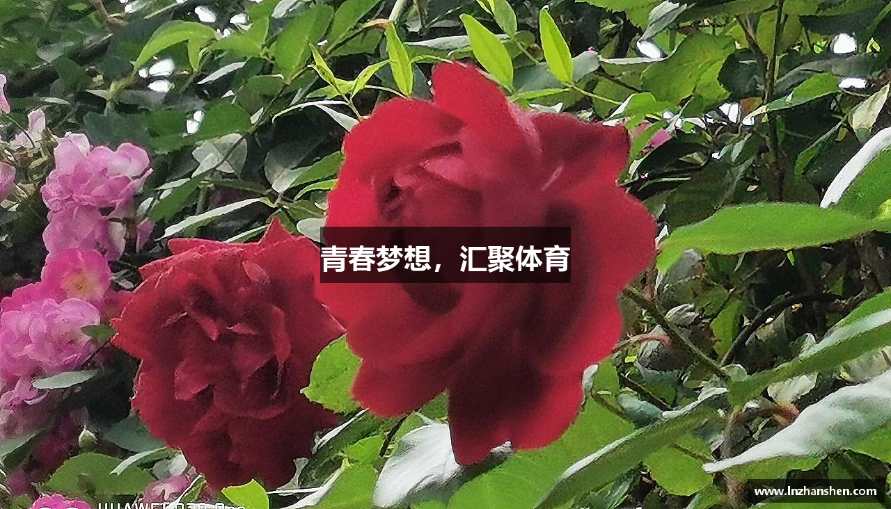 米兰·MILAN体育官方网站青春梦想，汇聚体育